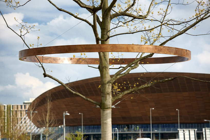 london 2012 olympic tree rings
